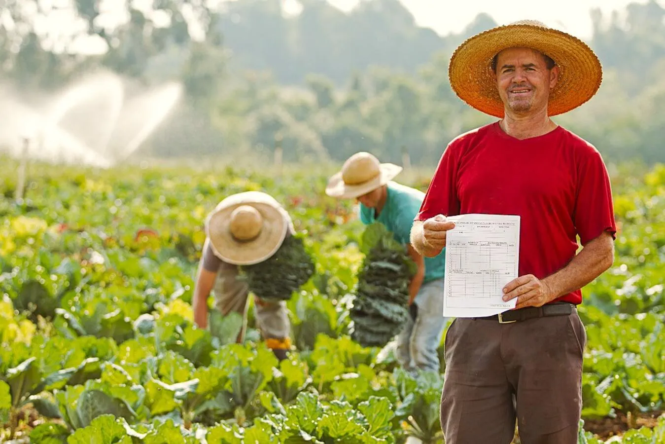 Produtores rurais com cadastro suspenso ainda podem regularizar situação