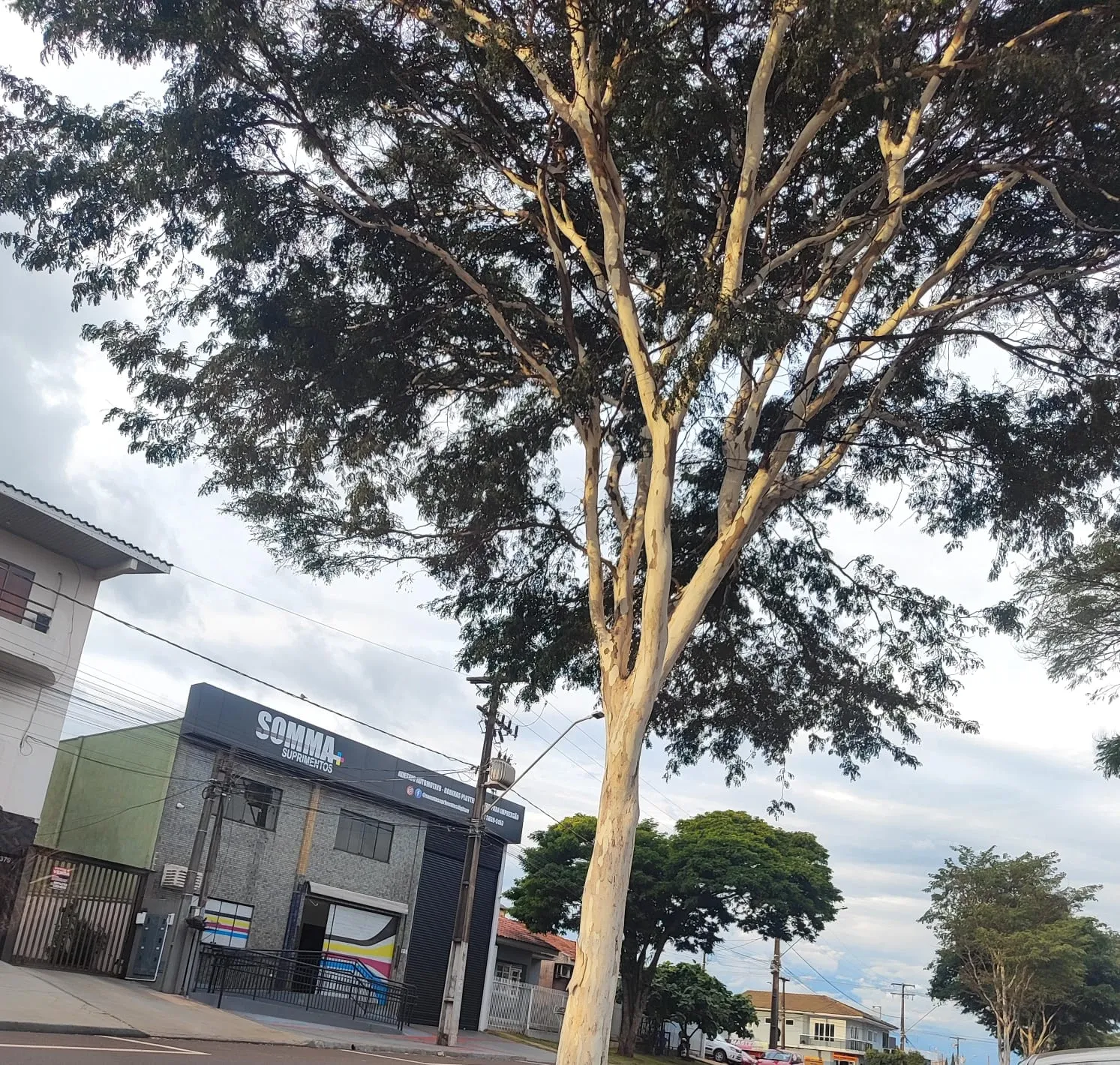 Semana começa com tempo fechado e alerta de chuva em Cascavel