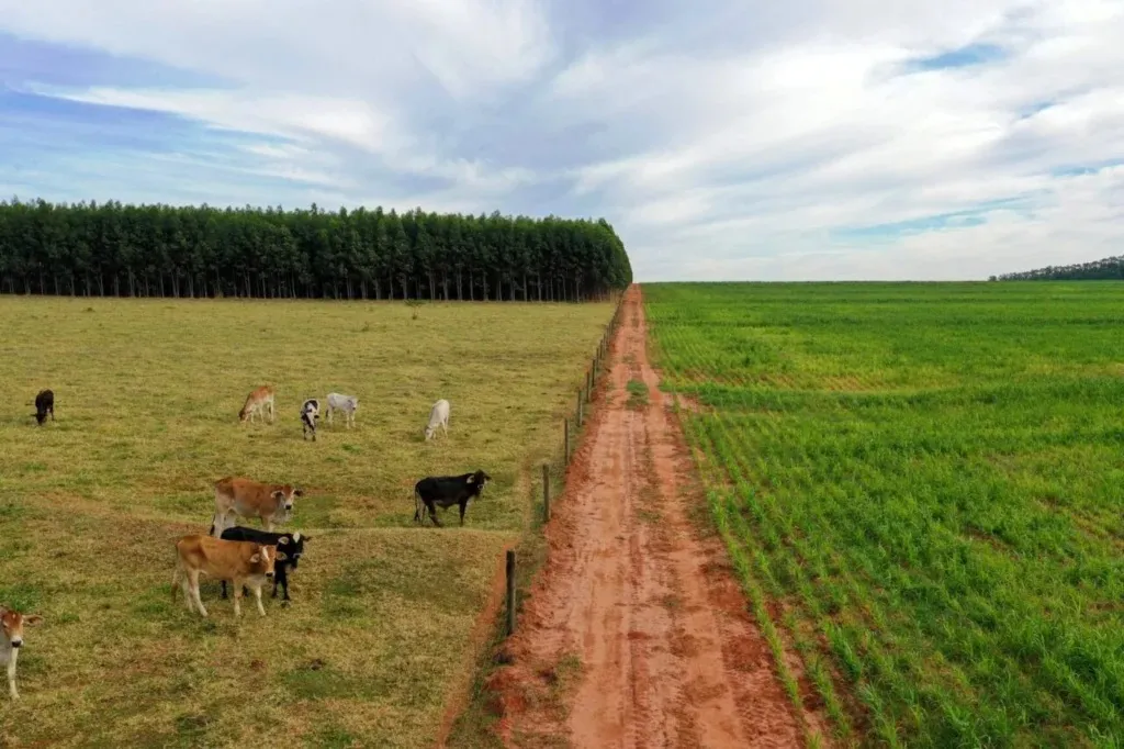 Maringá tem a terra agrícola mais cara do Paraná, aponta levantamento da Seab