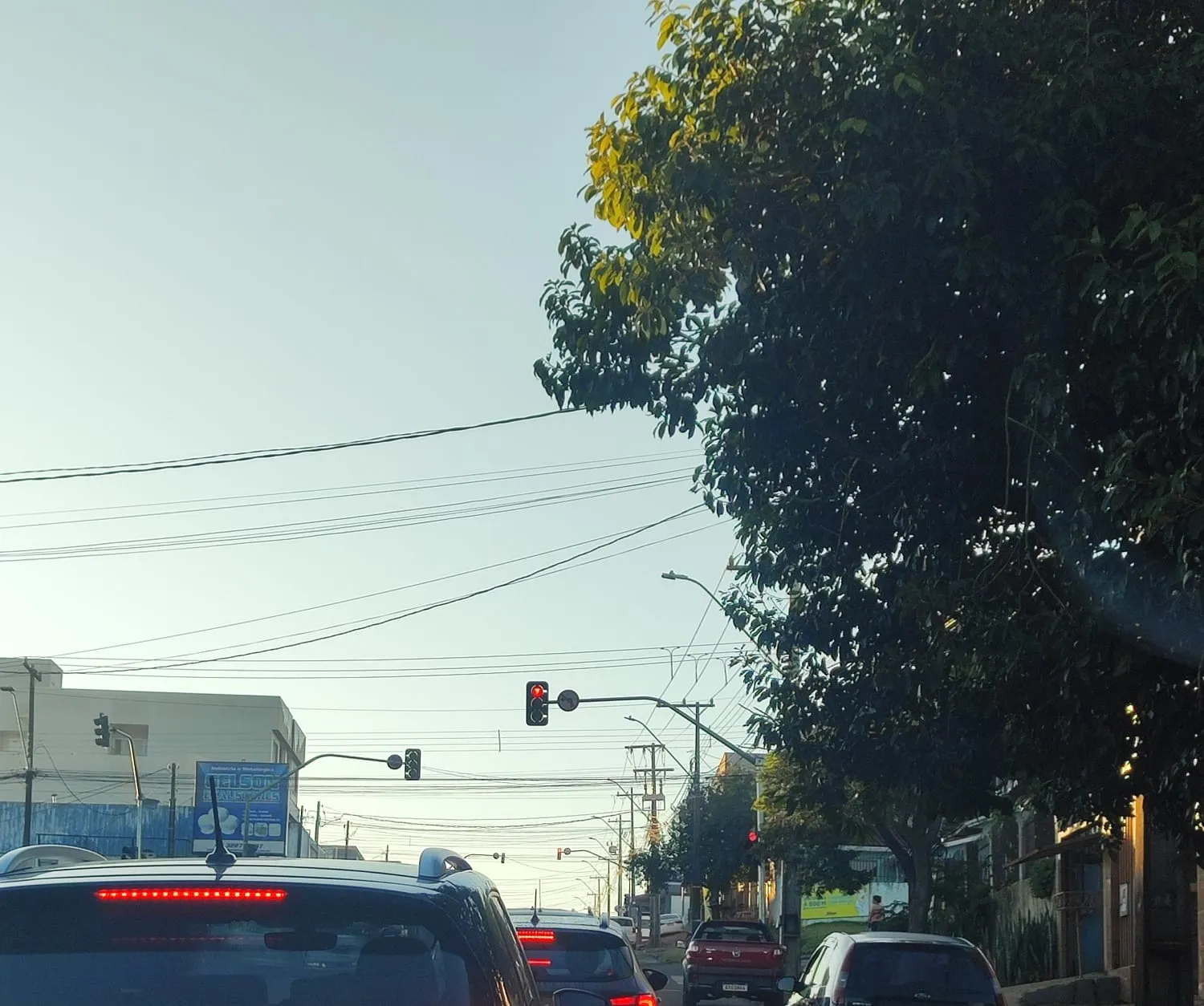 Frio intenso e neblina marcam manhã de terça-feira em Cascavel