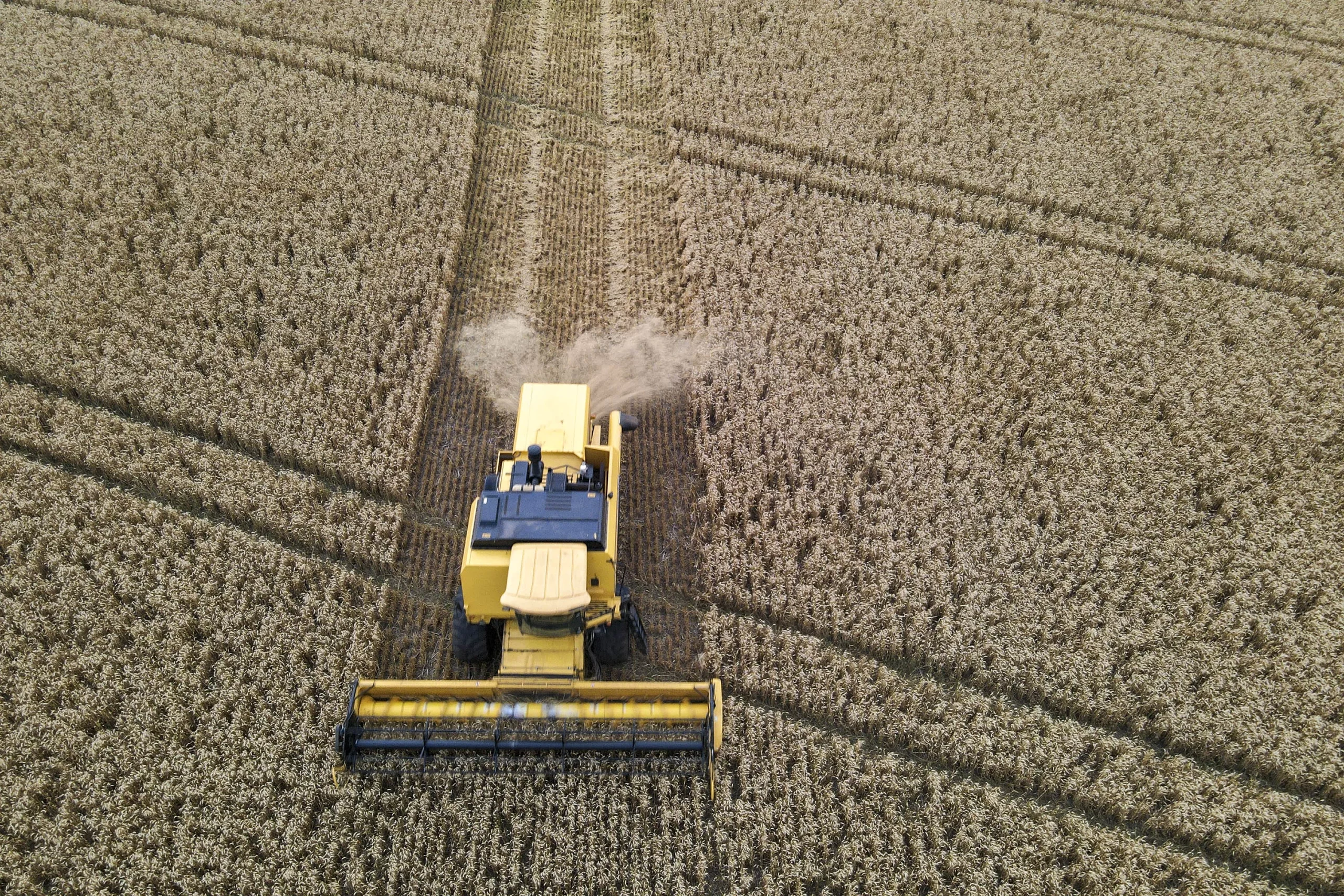 PIB do Paraná cresce 5% no 1º trimestre, quase o dobro da média nacional