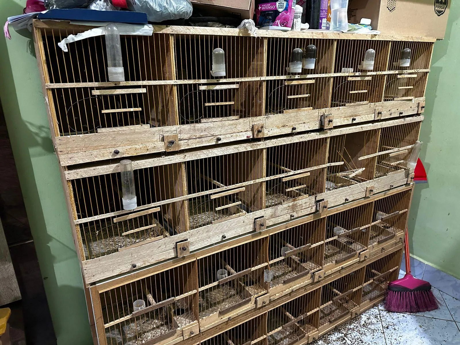 Polícia Civil deflagra operação contra tráfico internacional de animais em quatro estados