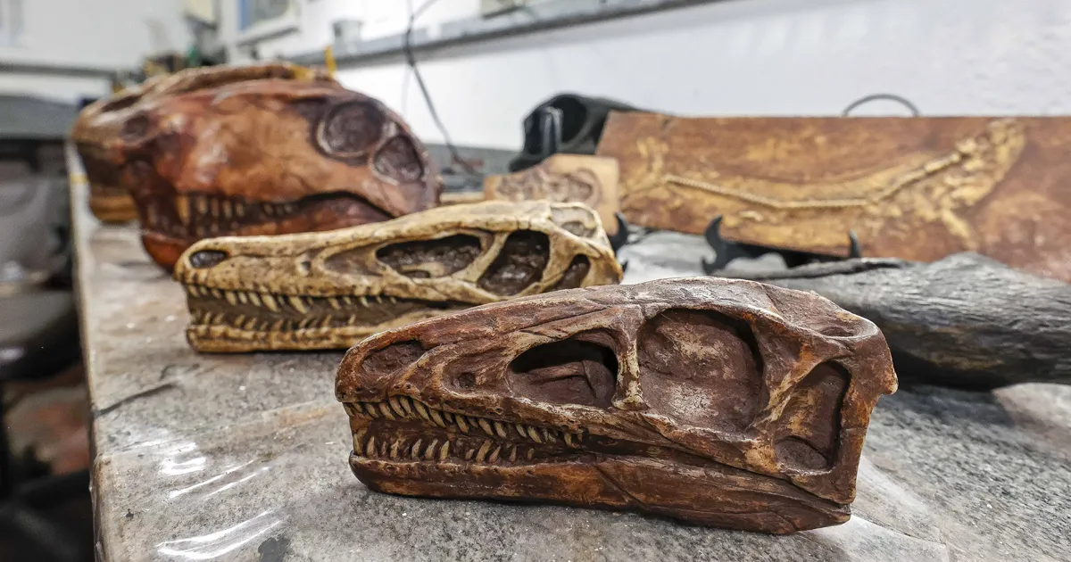 Réplicas de fósseis produzidas em oficina na USP promovem educação científica mais acessível