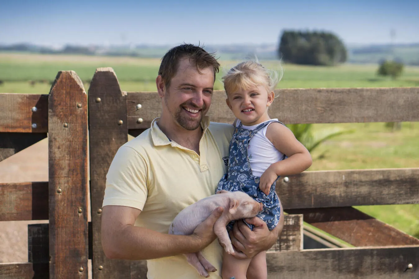 Produção Agropecuária: Toledo conquista o 1º lugar no ranking do VBP  e Cascavel lidera em  2º lugar