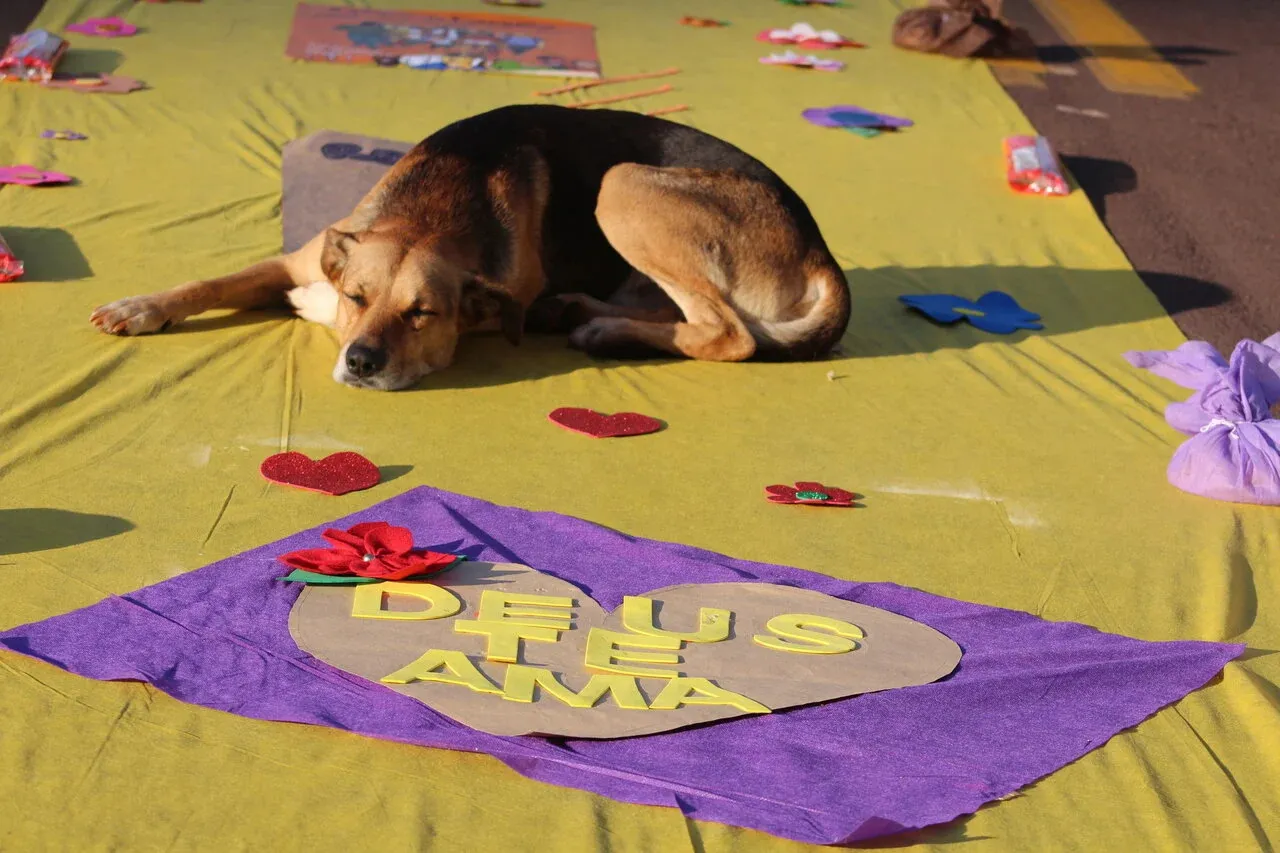 Cachorro “rouba a cena” ao dormir sobre tapete de Corpus Christi em Toledo