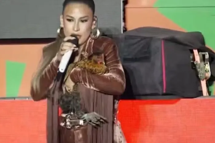 “Falsa e nojenta”: empresário detona Simone Mendes