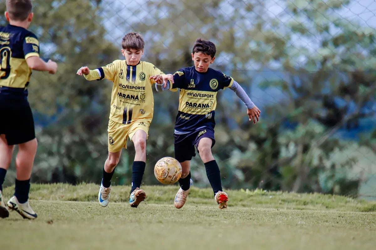Piás do ninho nas fases de mata-mata do Estadual