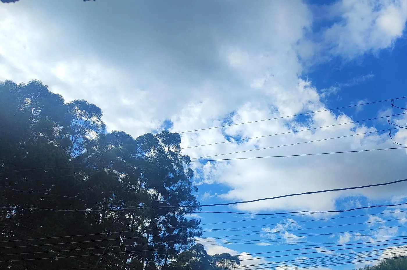Paraná se prepara para a semana mais gelada do ano