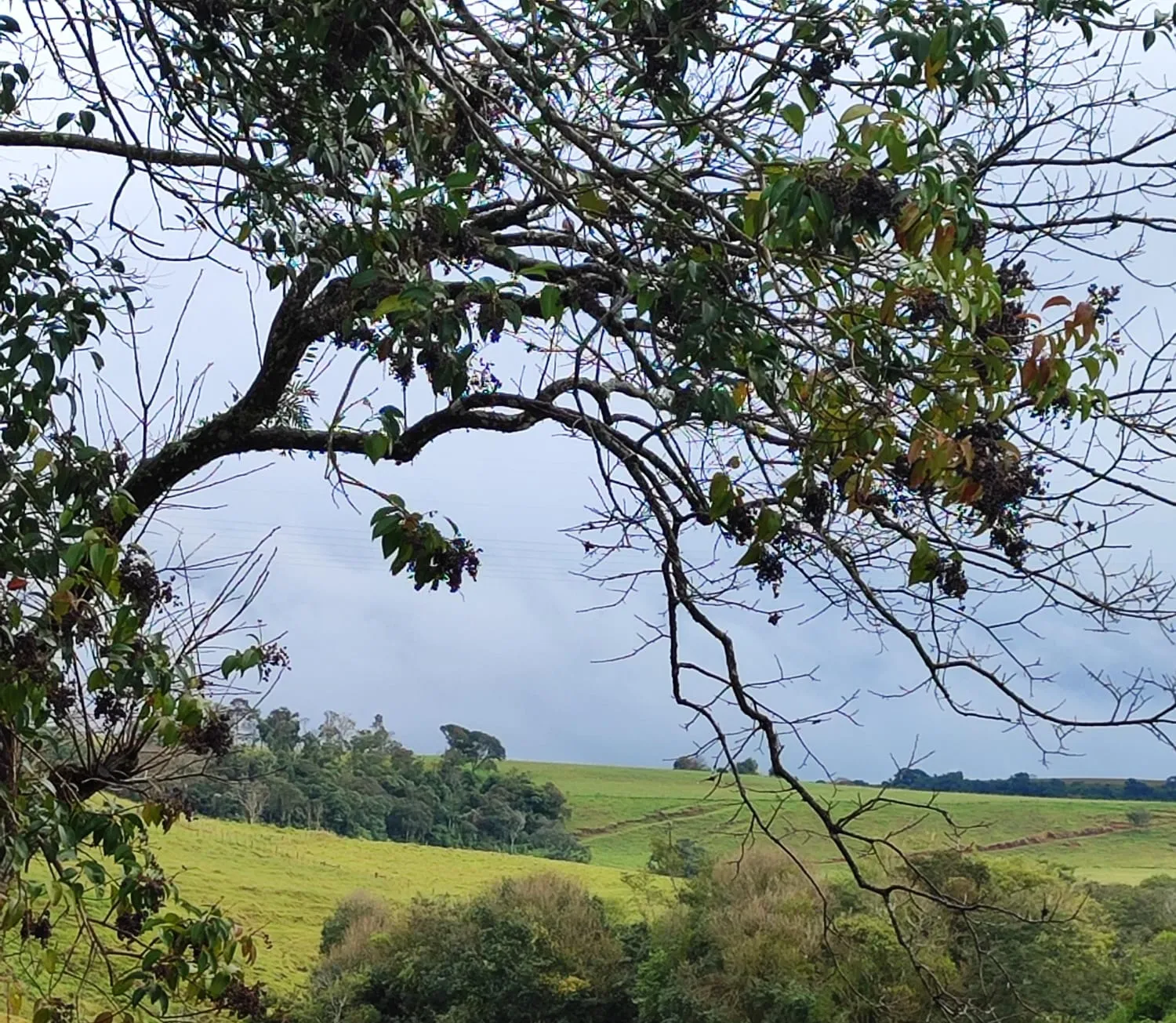 Paraná inteiro em alerta: instabilidade toma conta do estado