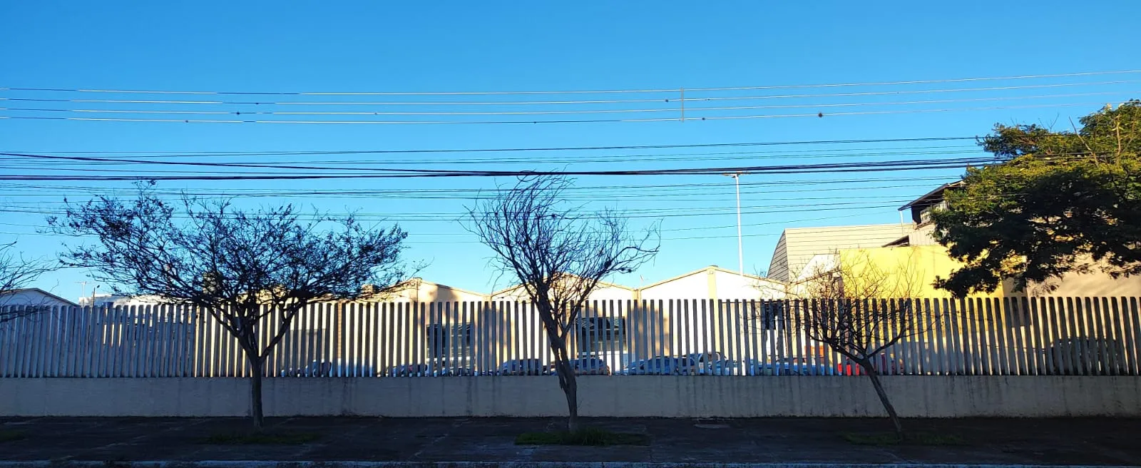 Cascavel registra a menor temperatura do ano com geada intensa e sensação térmica de -6°C