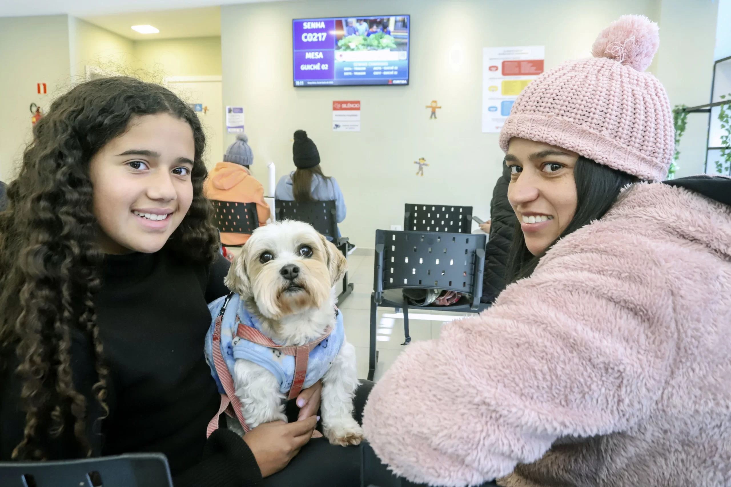 Hospital Veterinário Municipal de Curitiba completa cinco meses com média de 100 consultas por dia