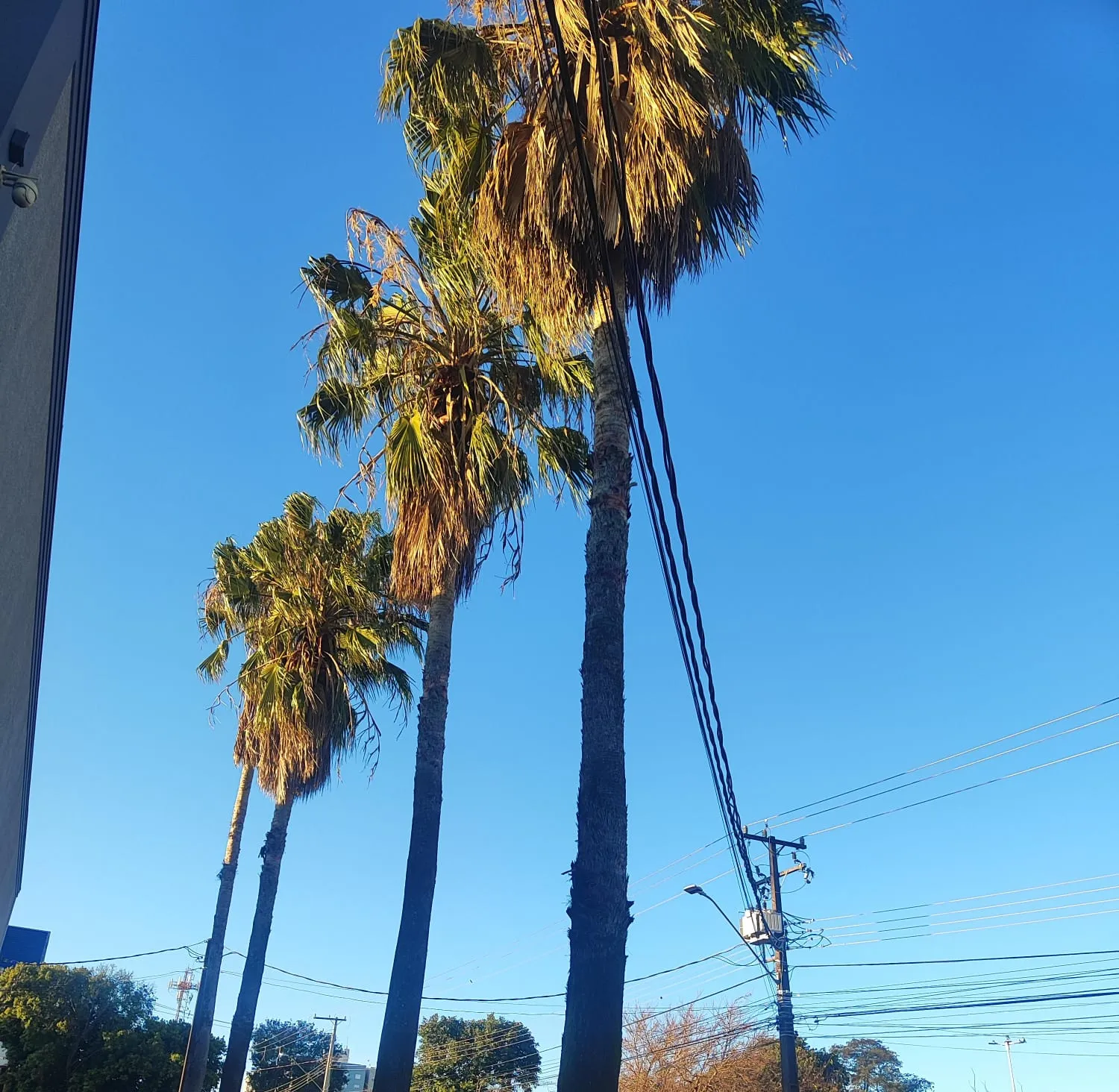 Frio persiste em Cascavel, mas o sol vai marcar presença