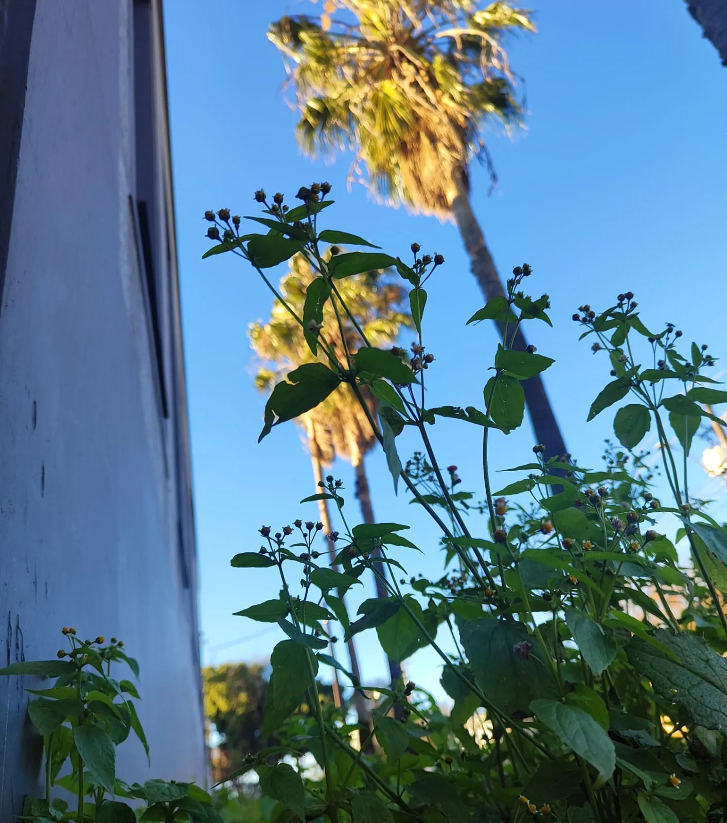 Temperaturas baixas persistem em Cascavel