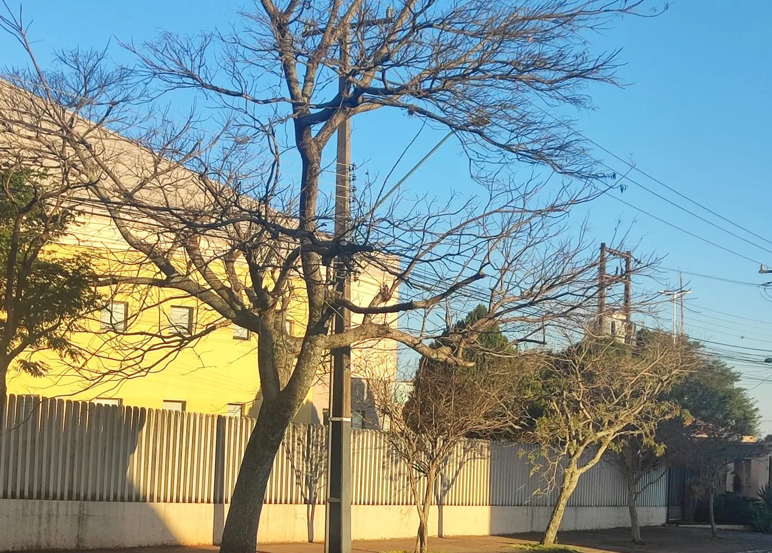 Cascavel amanhece com frio ameno e vento forte