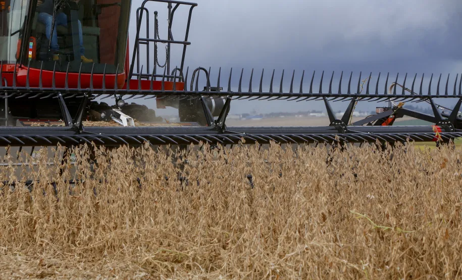 Paraná lidera crescimento da safra de grãos, com alta de 447 mil toneladas, aponta IBGE