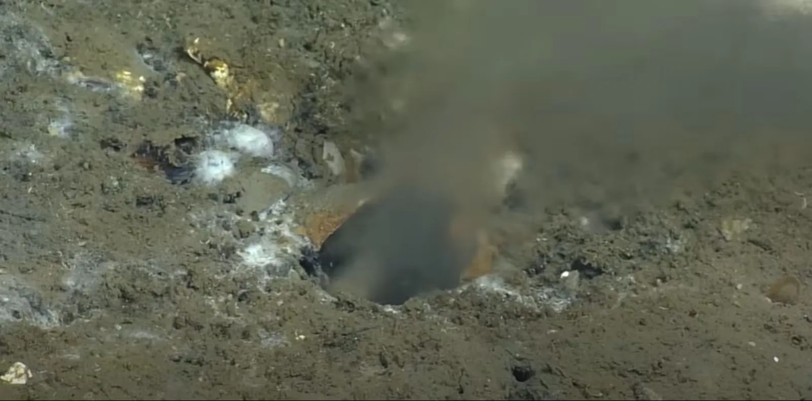 Grande terremoto na costa oeste dos EUA pode transformar completamente a região