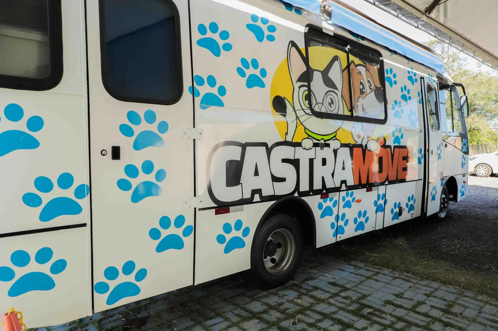 Castramóvel realiza a castração gratuita de 120 cães e gatos no Cascavel Velho