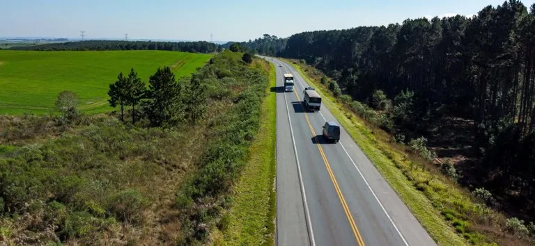 Conto de terror? Pedágio do Lote 5 será leiloado na véspera do Halloween