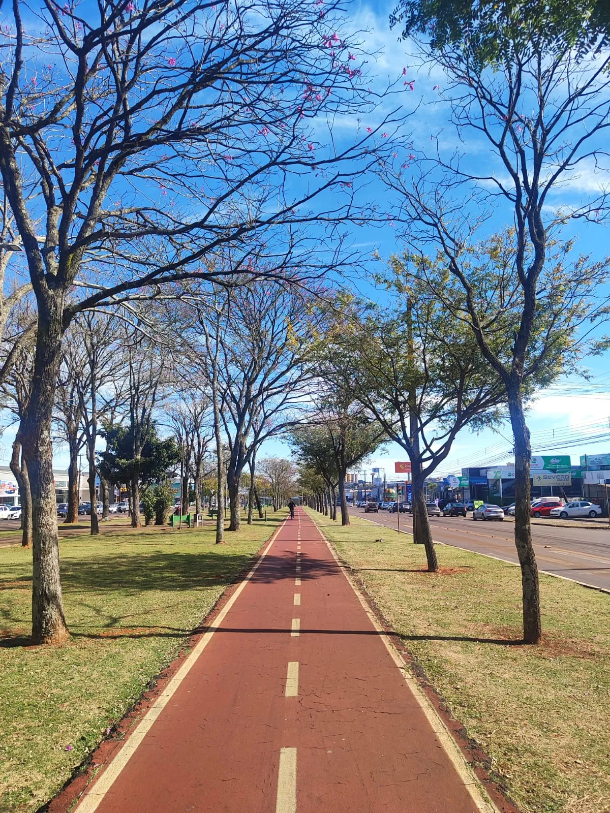 Cascavel tem sábado ensolarado e frio; semana seguirá com clima estável