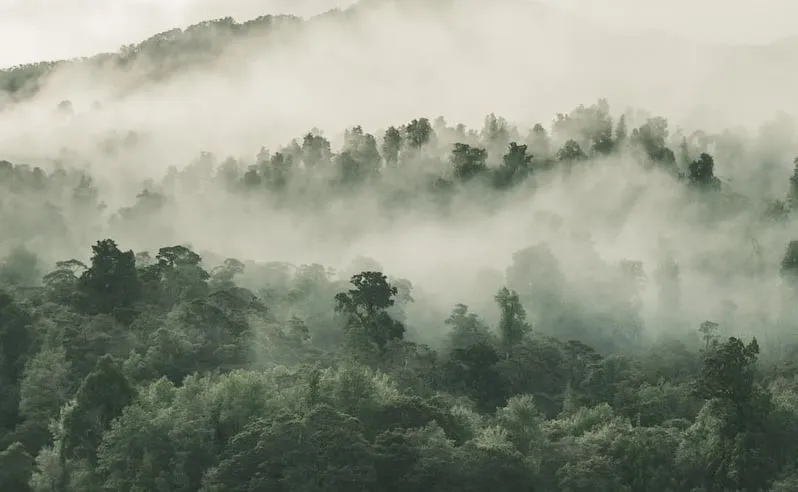 Frente fria deve trazer geada para áreas de serra; veja a previsão