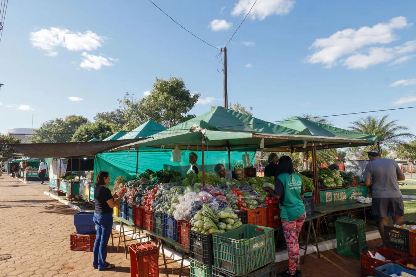 Toledo: Semana do Agricultor terá apresentações musicais e culturais na programação