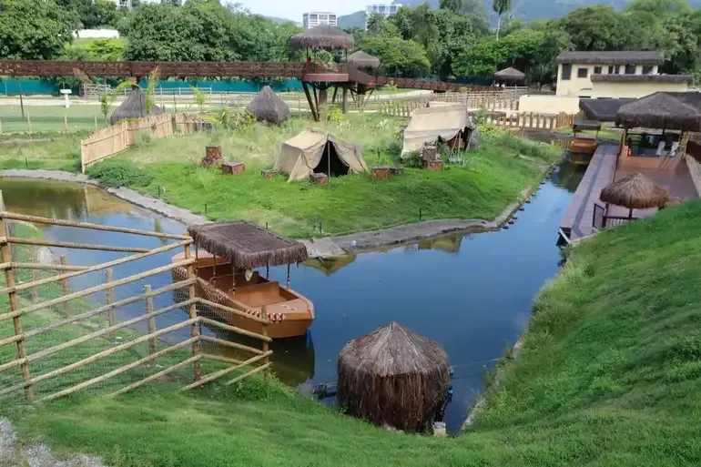 Gripe aviária mata galinhas-d’angola no Rio