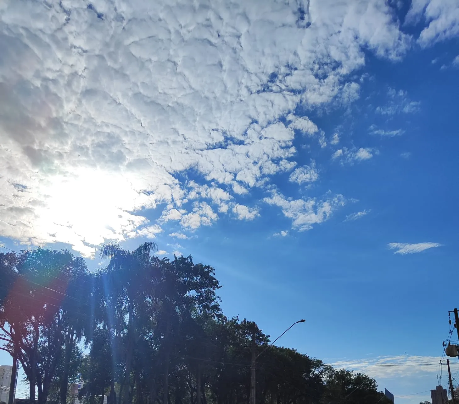 Clima ameno e ventos moderados marcam o sábado em Cascavel