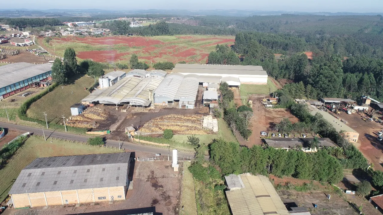 Empresa do Paraná irá demitir 100 funcionários por conta do tarifaço do Trump