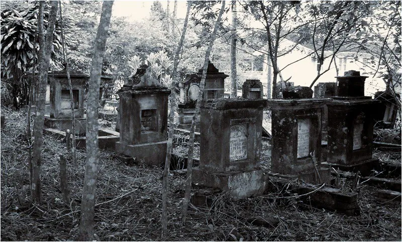 Justiça Federal mantém embargo de obras no Cemitério dos Imigrantes de Pomerode