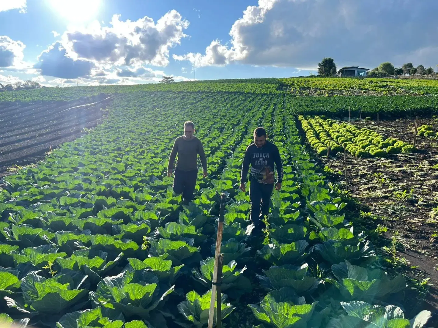 No Dia do Agricultor, Prefeitura de Guarapuava celebra quem move o campo e alimenta a cidade