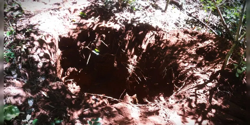 Ossada que pode estar enterrada há mais de quatro anos é encontrada em matagal em Ponta Grossa