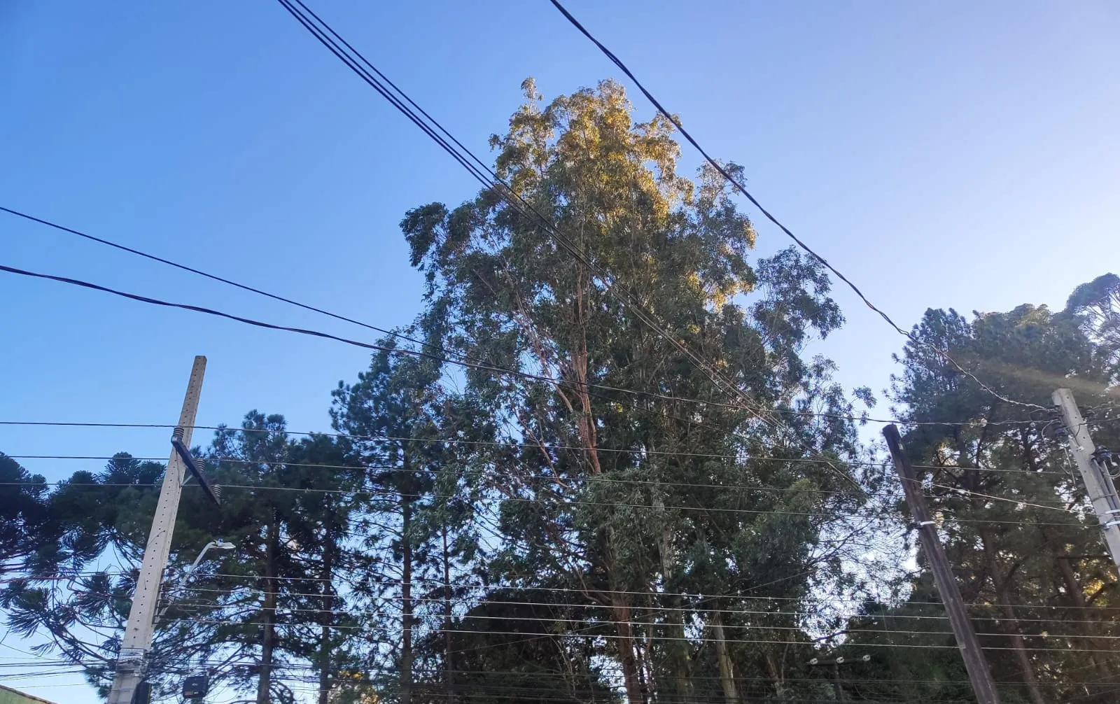 Terça-feira amanhece gelada em Cascavel